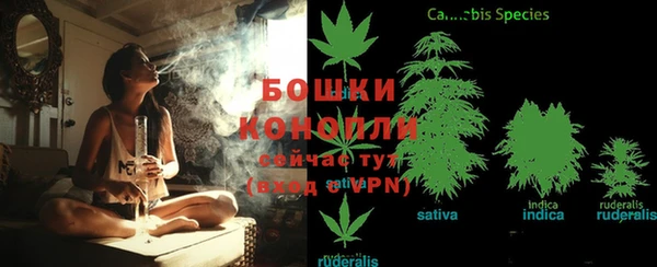 прущие крисы Баксан